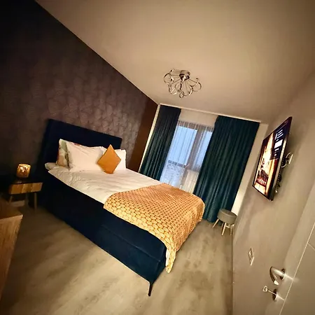 Hils Pallady * Bucureşti